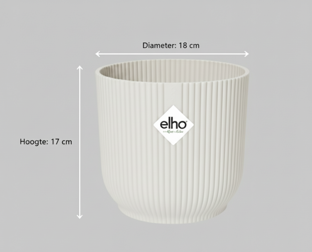 Combi deal - Strelitzia Nicolai + Elho Vibes Fold Round - 100 cm