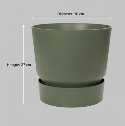 Combi deal - Pachira Aquatica + Elho Greenville Round - 160 cm