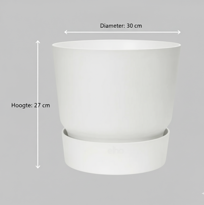 Combi deal - Strelitzia Nicolai + Elho Greenville Round - 160 cm