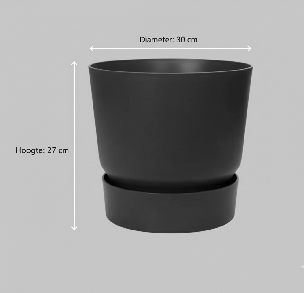 Combi deal - Pachira Aquatica + Elho Greenville Round zwart - 140 cm