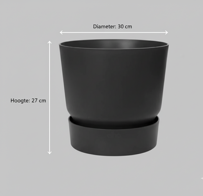 Combi deal - Areca palm + Elho Greenville Round - 110 cm