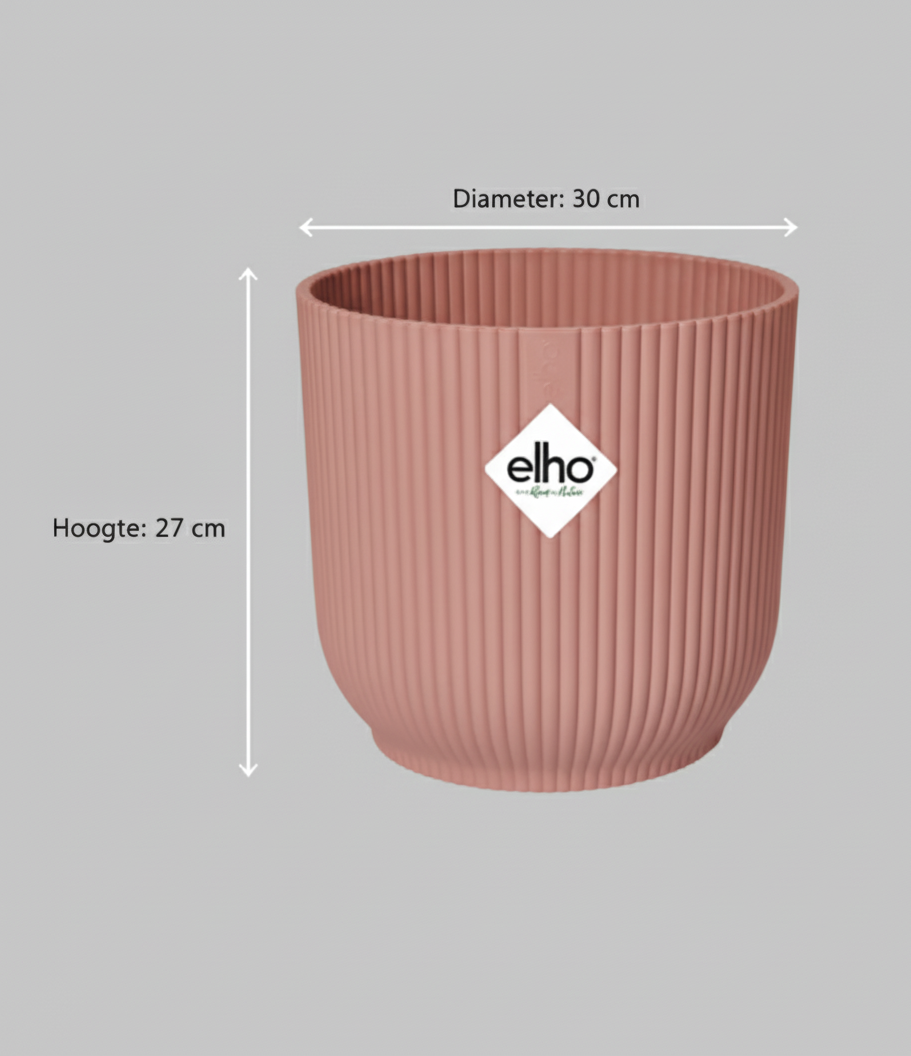 Combi deal - Pachira Aquatica + Elho Vibes Fold Round - 160 cm