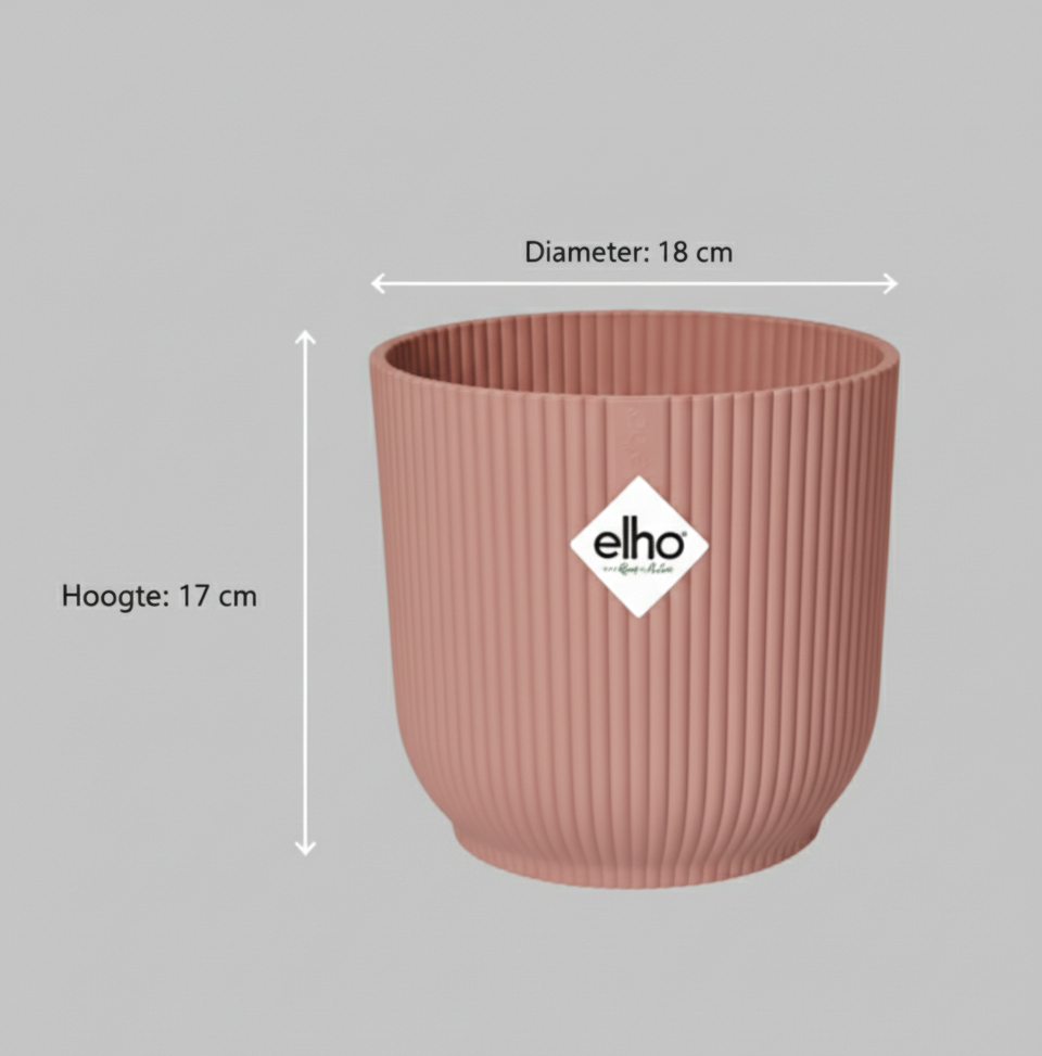 Combi deal - Strelitzia Nicolai + Elho Vibes Fold Round - 100 cm