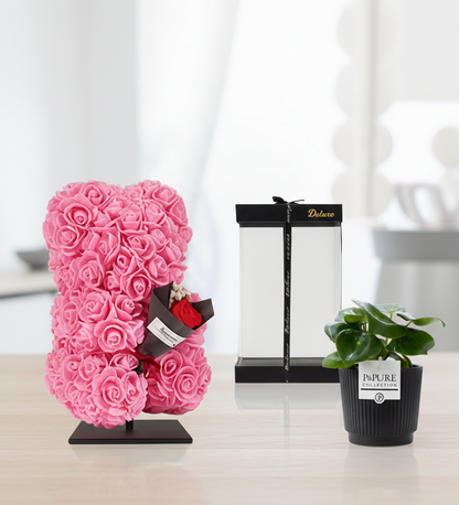 Combi deal - Peperomia in pot + Beer Deluxe foam