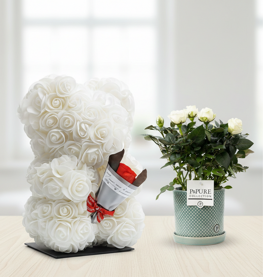 Combi deal - Rosa white in pot + Beer Deluxe foam