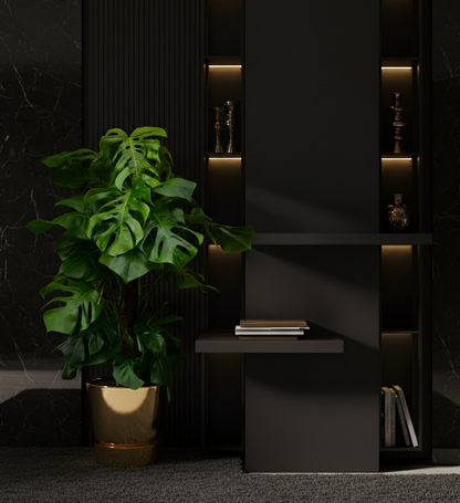 Monstera Pertusum - 130 cm
