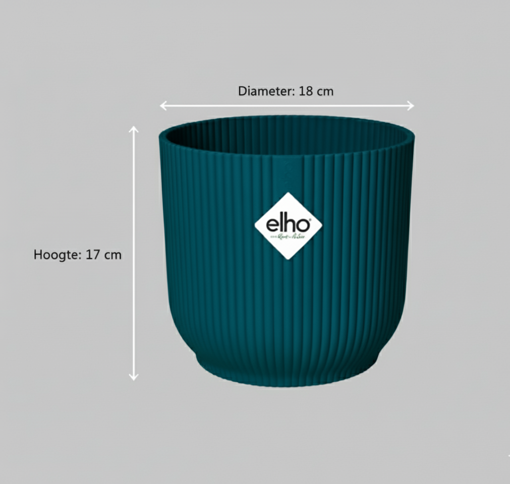 Combi deal - Strelitzia Nicolai + Elho Vibes Fold Round - 100 cm