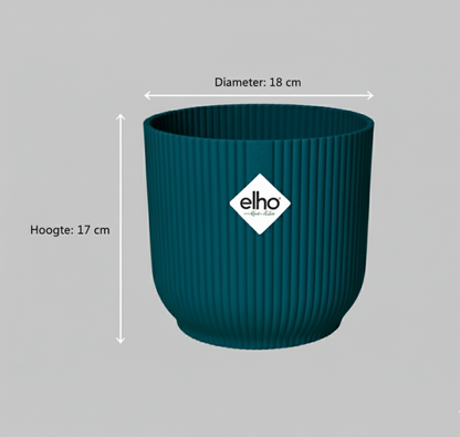 Combi deal - Strelitzia Nicolai + Elho Vibes Fold Round - 100 cm