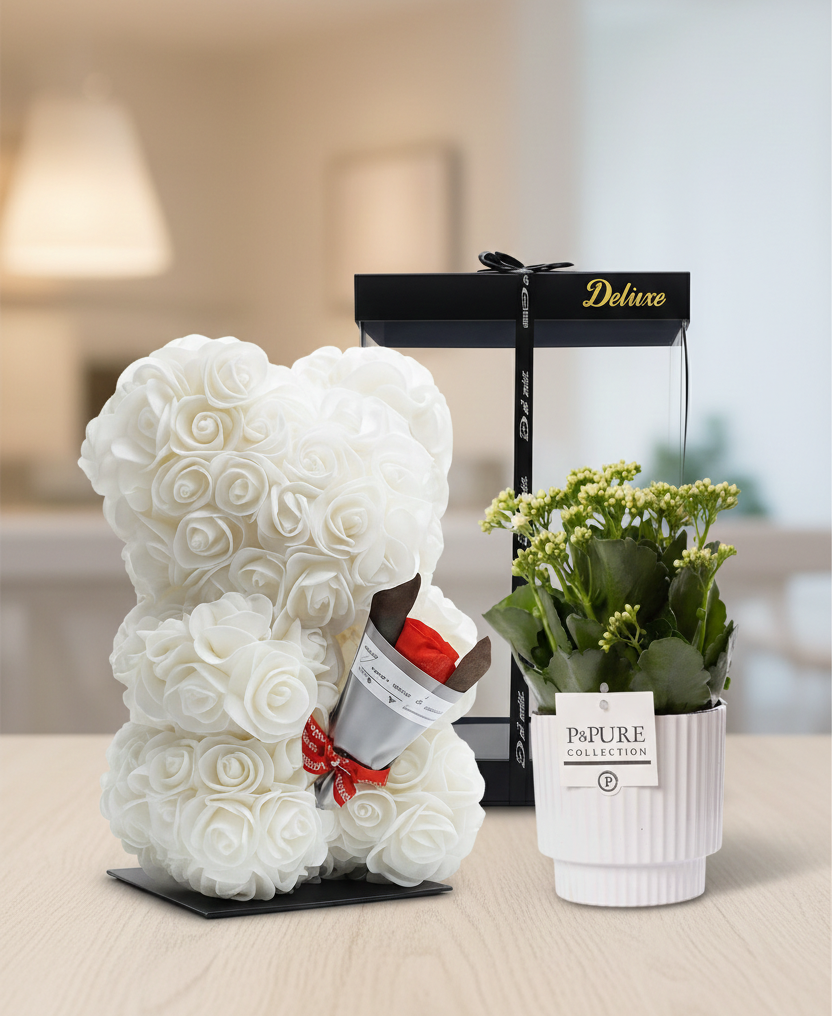 Combi deal - Kalanchoe in pot + Beer Deluxe foam