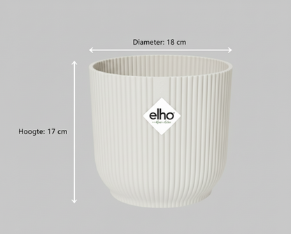 Combi deal - Strelitzia Nicolai + Elho Vibes Fold Round - 100 cm