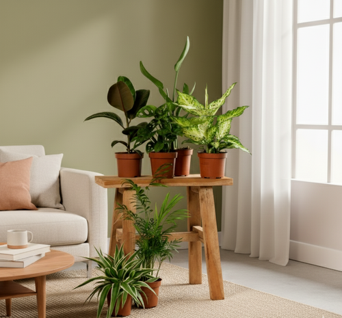 Groene geluksbox (5,6,8 of 10 stuks)