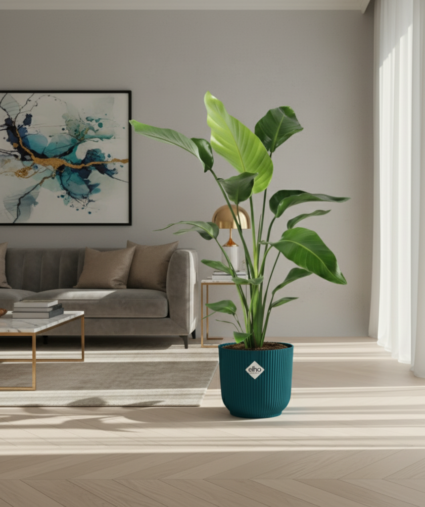 Combi deal - Strelitzia Nicolai + Elho Vibes Fold Round - 100 cm