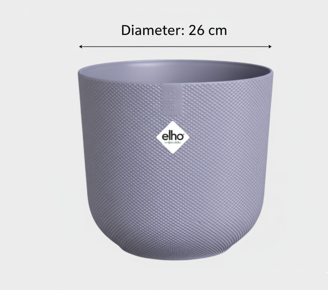 Combi deal - Monstera Pertusum + Elho Jazz Round - 150 cm