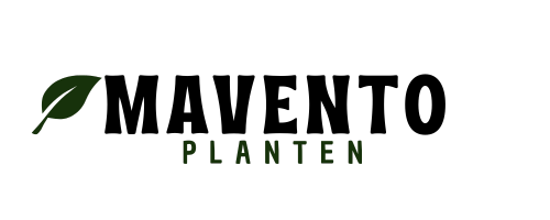 Mavento planten