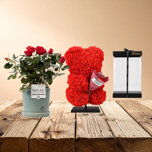 Combi deal - Rosa red in pot + Beer Deluxe foam