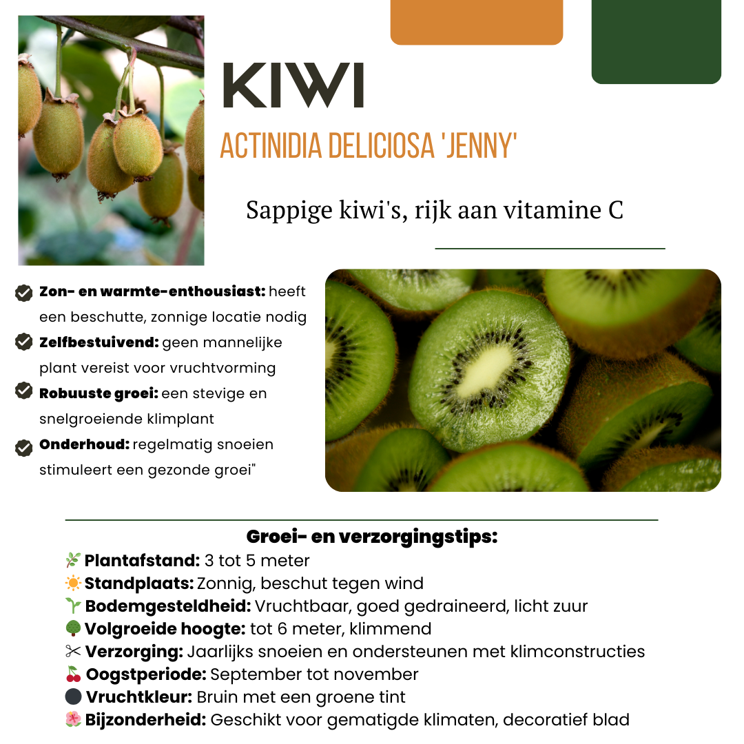 Combi deal: Vijg, Kiwi & Braam
