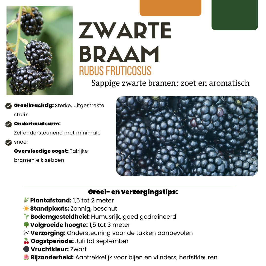 Biologische Fruitplanten (5 stuks)