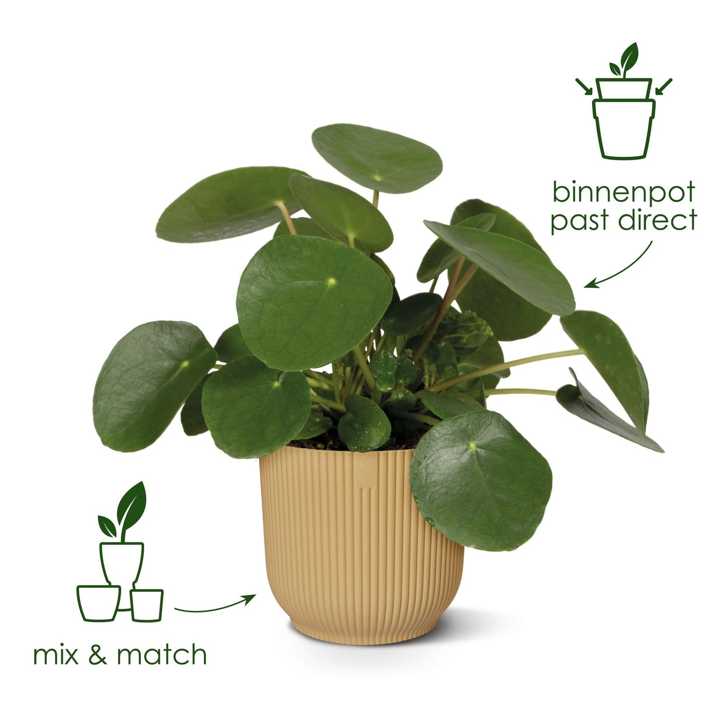 Elho Vibes Fold Round wit