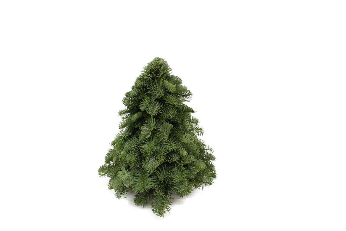 Kerstboom